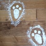 easter bunny footprints