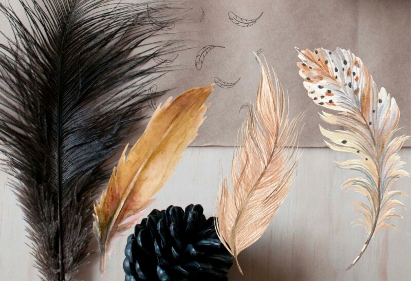 Craft Feathers - Natural Feathers - Loose Real Chicken Feather for