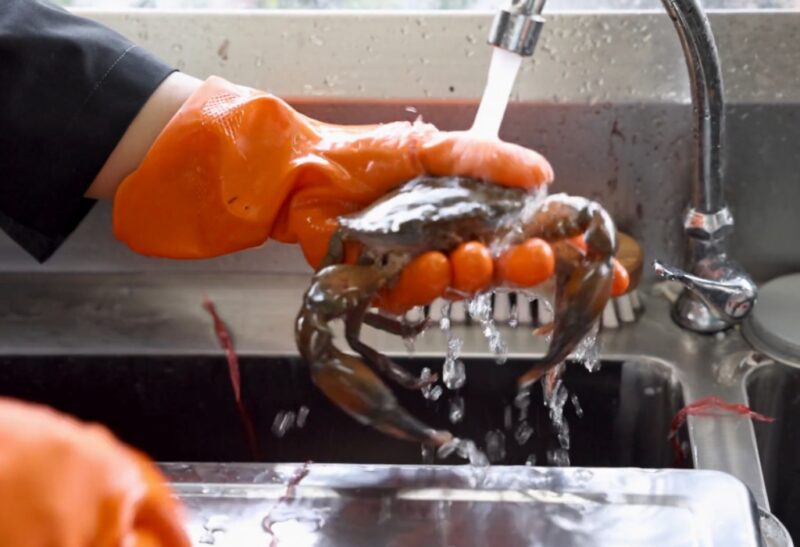 Cleaning crab shells